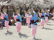 墨田区 錦糸公園